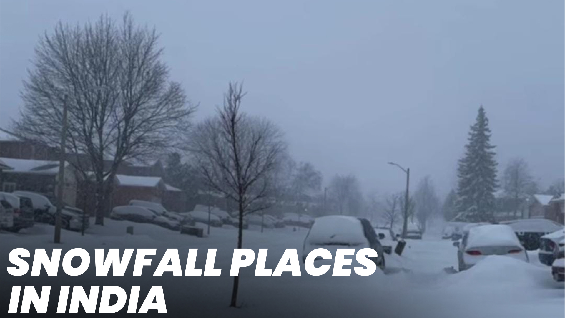 5-places-in-india-that-looks-more-beautiful-after-snowfall-goats-on-road